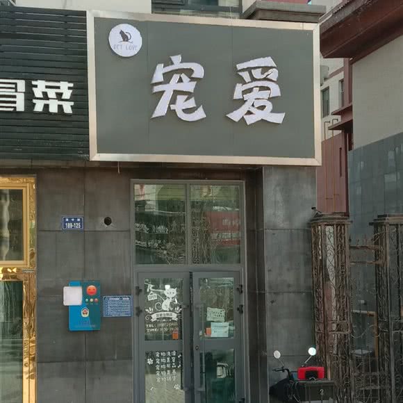 宠爱宠物店:西宁市城东区南山路东附近