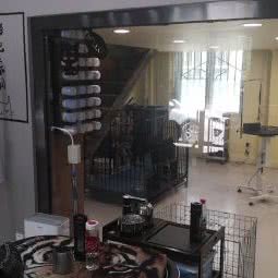 顽宠:西宁市城东区青藏花园附近