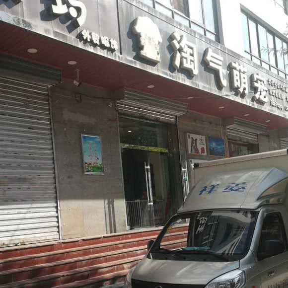 淘气萌宠宠物店:西宁市城中区大十字附近