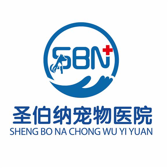 圣伯纳宠物医院:西宁市城中区大十字附近