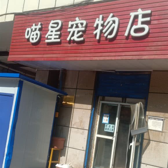 喵星宠物店:西宁市城中区东台附近