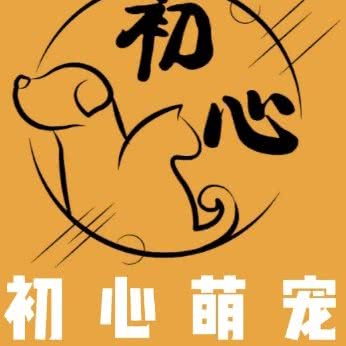 初心萌宠:西宁市城中区城南新区附近