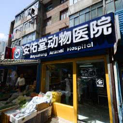 安佑堂动物医院猫科诊疗中心:西宁市城西区新华百货附近
