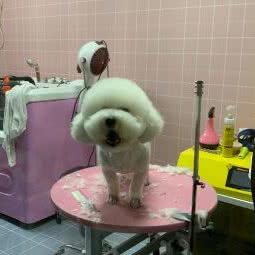 派私宠美:西宁市城西区海湖新区附近