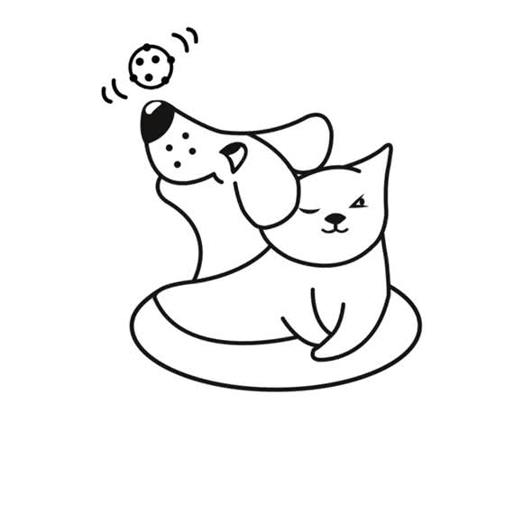 璐璐的宠物小屋:西宁市城西区海湖新区附近