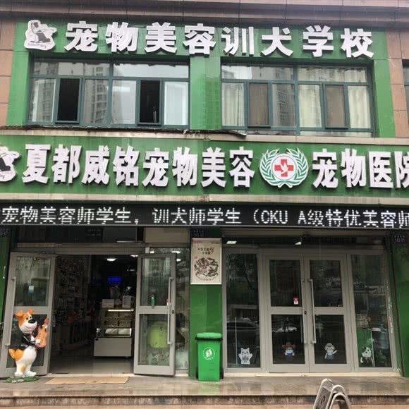 夏都威铭宠物医院·宠物美容培训学校:西宁市城西区海湖新区附近
