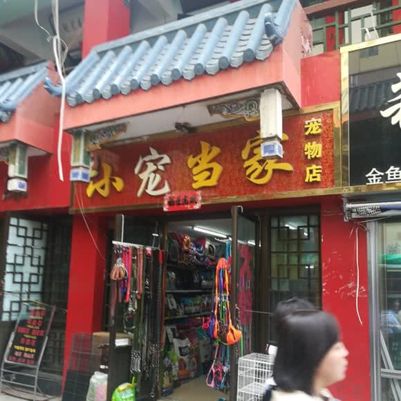 小宠当家宠物店:西宁市城西区胜利路附近