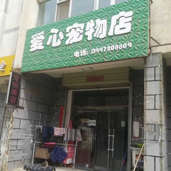 爱心宠物店:西宁市城西区西郊附近