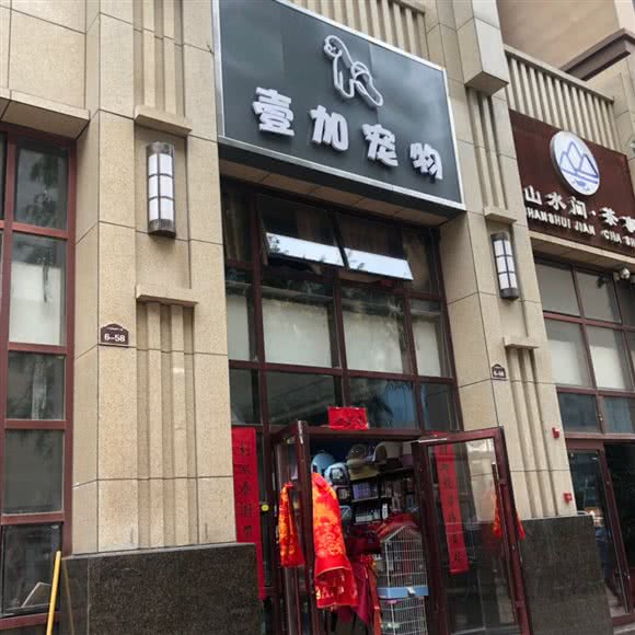 壹加宠物狗:西宁市城西区西郊附近