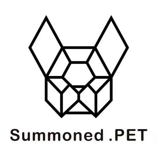 召唤兽宠物:西宁市城北区小桥附近