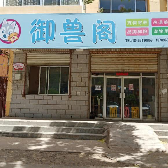 御兽阁:银川市兴庆区东门附近附近