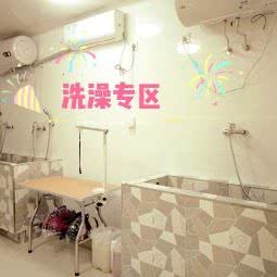 圣宠狗狗:银川市兴庆区石油城附近