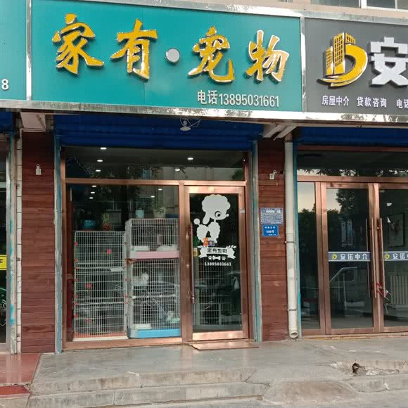 家有宠物:吴忠市利通区新区广场附近
