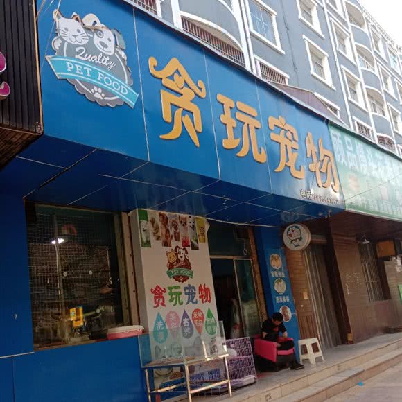 贪玩宠物:固原市原州区二市场附近
