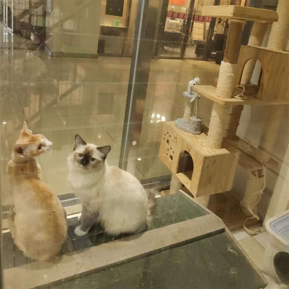 悦宠阁:乌鲁木齐市沙依巴克区克拉玛依西路附近