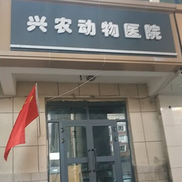 兴农动物医院:乌鲁木齐市沙依巴克区克拉玛依西路附近