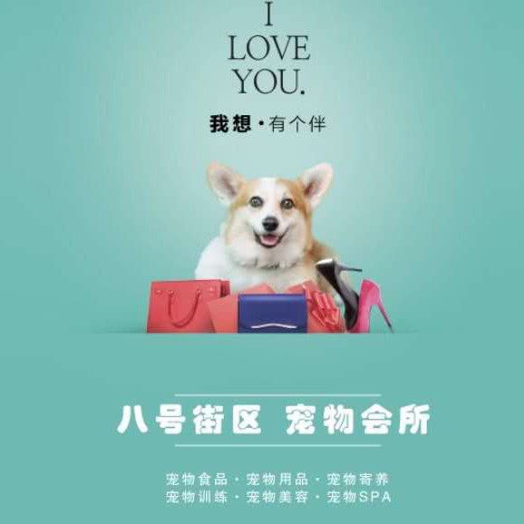 8号街区宠物会所(西山店):乌鲁木齐市沙依巴克区西山新区附近