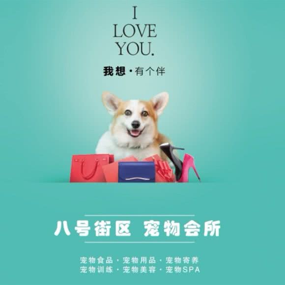 8号街区宠物会所(老满城店):乌鲁木齐市沙依巴克区新疆农业大学附近