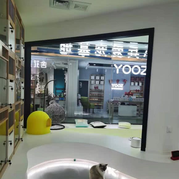 小兵爱宠基地(太百YOYO环球港店):乌鲁木齐市沙依巴克区万达广场附近