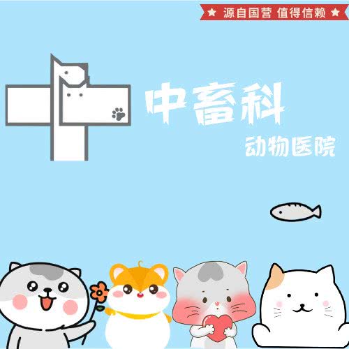 中畜科动物医院(万达店):乌鲁木齐市沙依巴克区万达广场附近