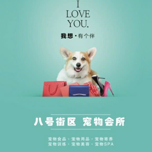 8号街区宠物会所(珠江路店):乌鲁木齐市沙依巴克区仓房沟附近