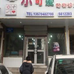 小可爱动物诊所:乌鲁木齐市沙依巴克区仓房沟附近
