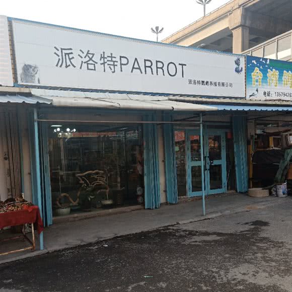 派洛特:乌鲁木齐市沙依巴克区华凌市场附近