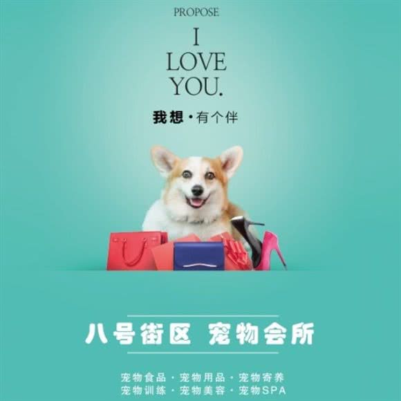 八号街区宠物会所(天津路店):乌鲁木齐市新市区天津路附近