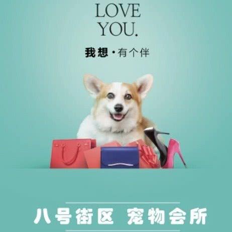 8号街区宠物会所(河南西路店):乌鲁木齐市新市区河南西路附近