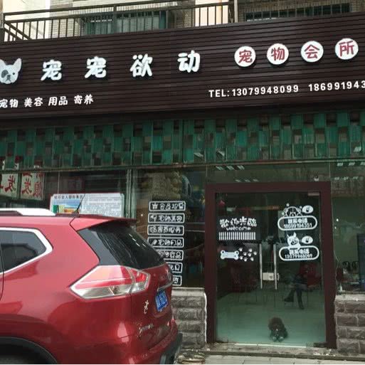 宠宠欲动:乌鲁木齐市新市区迎宾路附近