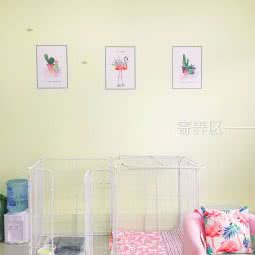 奥莉家的宠物店:秦皇岛市海港区秦皇东大街附近