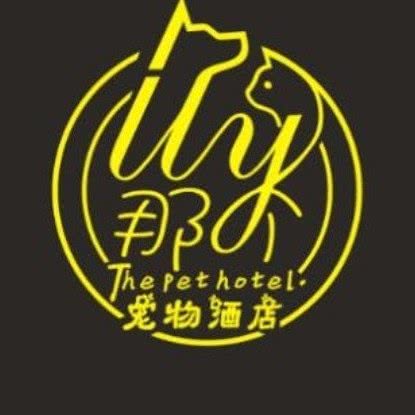 那个宠物酒店:乌鲁木齐市新市区三宫六队附近