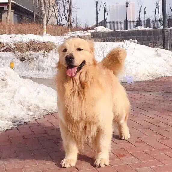 佳贝宠爱生活馆:乌鲁木齐市新市区三宫六队附近