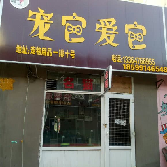 宠它爱它:乌鲁木齐市水磨沟区华凌干果市场附近