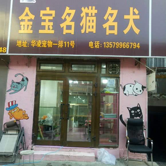 金宝名猫名犬:乌鲁木齐市水磨沟区华凌干果市场附近