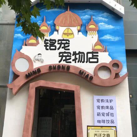 铭宠宠物店:秦皇岛市海港区民族路附近