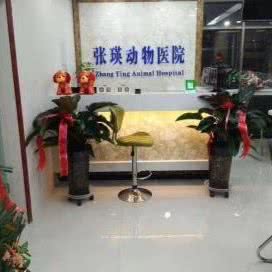 张瑛动物医院(兽医站):乌鲁木齐市水磨沟区华凌干果市场附近