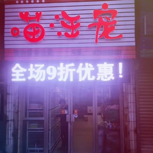 喵汪宠:秦皇岛市海港区民族路附近