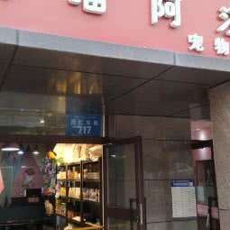 阿喵阿胡宠物店:乌鲁木齐市水磨沟区南湖广场附近
