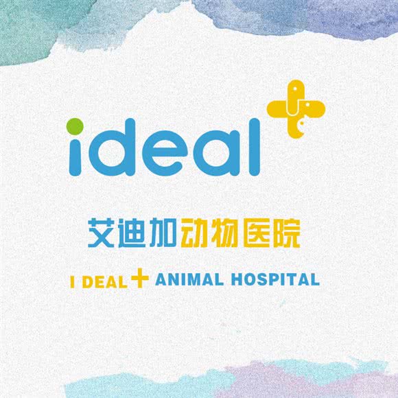 凯西加动物医院:乌鲁木齐市水磨沟区王家梁附近