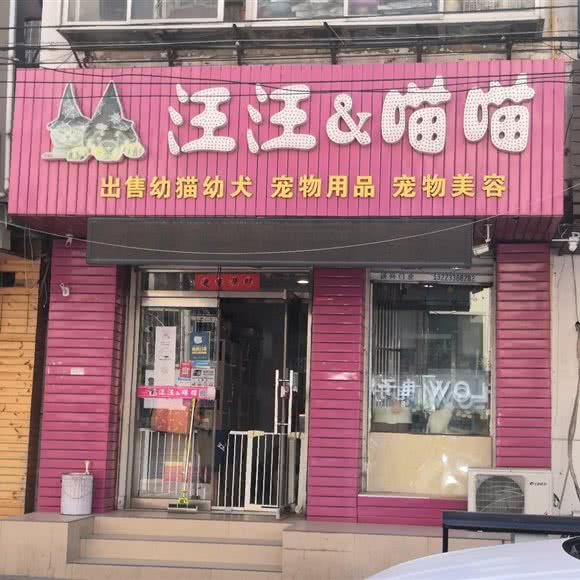 汪汪&喵喵:秦皇岛市海港区人民广场附近