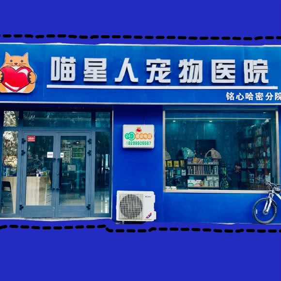 喵星人宠物医院:哈密市伊州区哈密第二人民医院附近