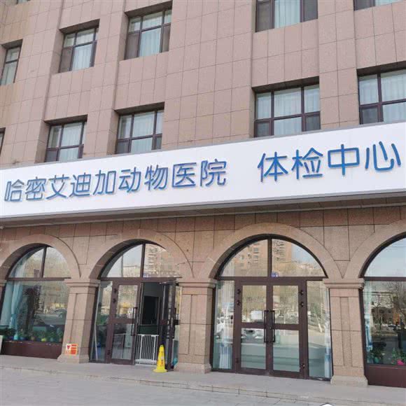 哈密凯西加动物医院:哈密市伊州区皇后天街附近