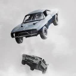 萌族宠物:秦皇岛市开发区燕山大学附近