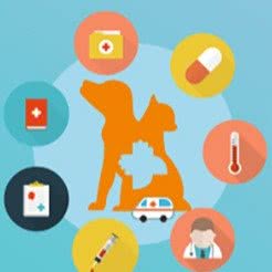 派美特宠物医院(曼哈顿店):锦州市松山新区宝地曼哈顿附近