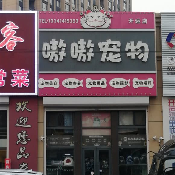 嗷嗷宠物(开运店):长春市汽车开发区东风大街/汽车开发区附近