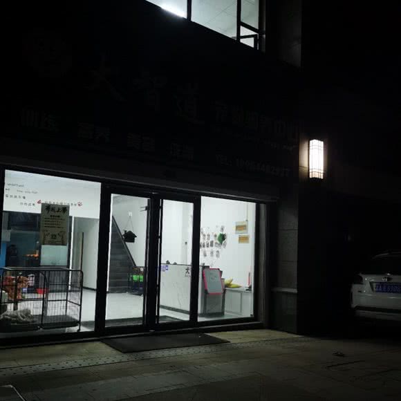 猫智道宠物驱养中心:长春市汽车开发区东风大街/汽车开发区附近