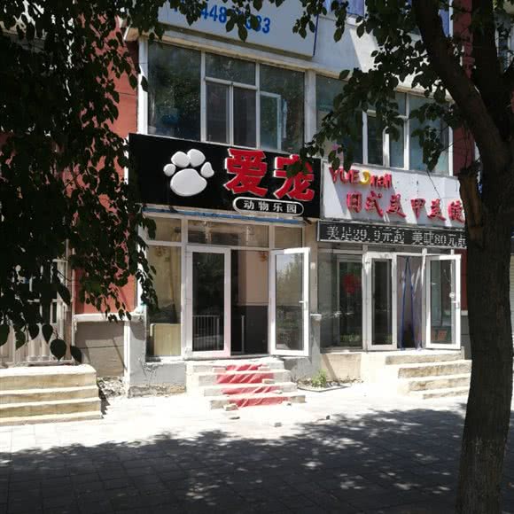 爱宠动物乐园:长春市汽车开发区东风大街/汽车开发区附近