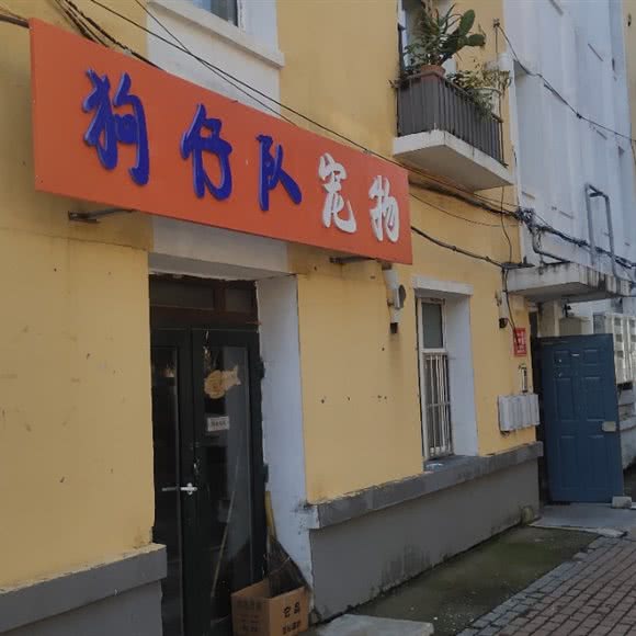 狗仔队宠物店:长春市汽车开发区车百附近