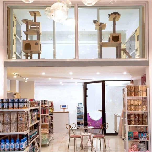 得宠宠物乐园FAVORITISM:长春市经济开发区赛德广场附近